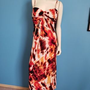 Bisou Bisou Maxi Dress (Size 6)